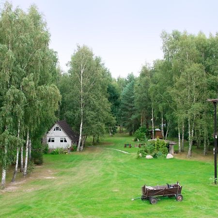 Domek W Brzozach Villa Sasino Kültér fotó